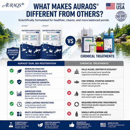 ✨ From Green to Clean Overnight! |⏱️ Clear in 24 Hours! | AURAQS® Water-Purification Pro Formula2.0