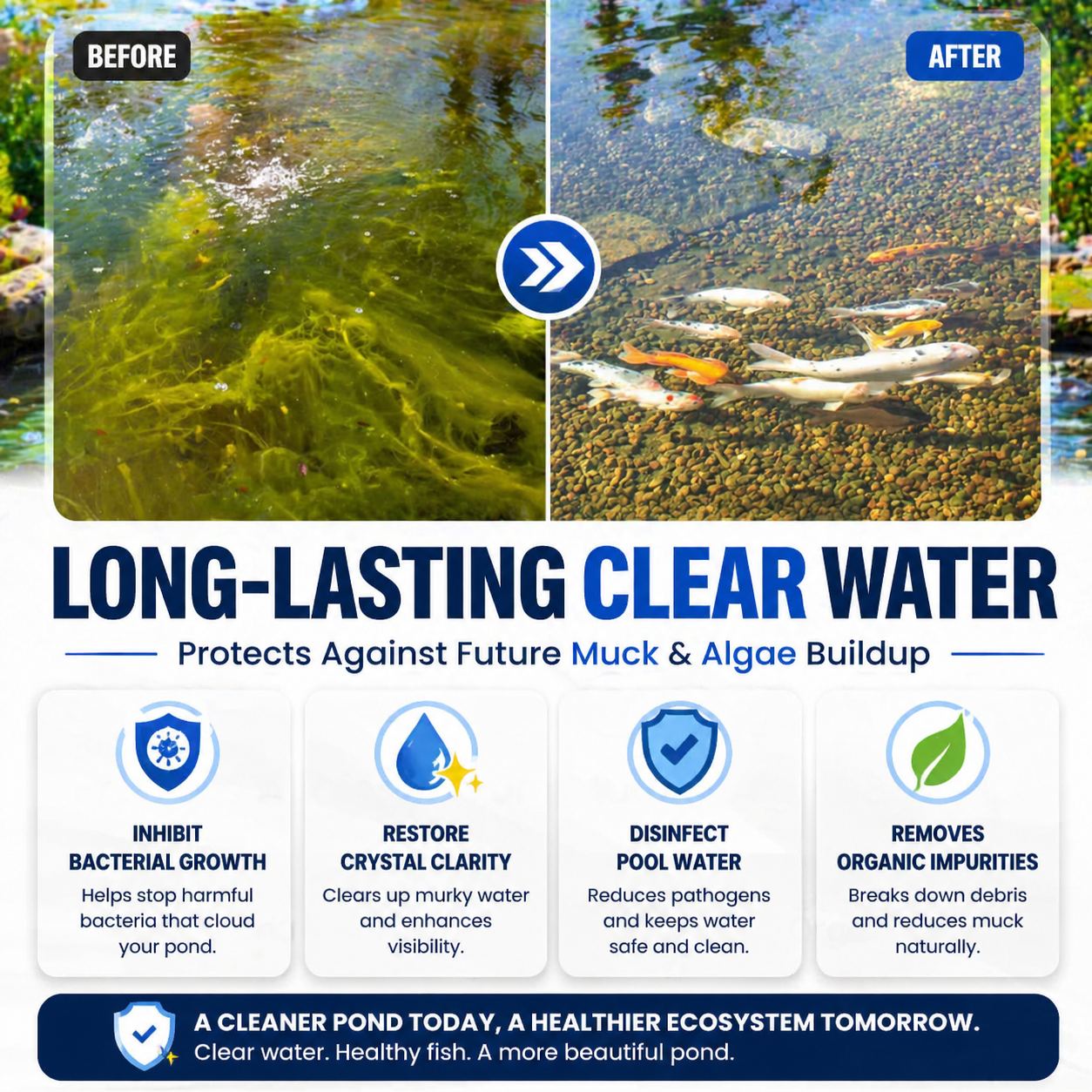 ✨ From Green to Clean Overnight! |⏱️ Clear in 24 Hours! | AURAQS® Water-Purification Pro Formula2.0