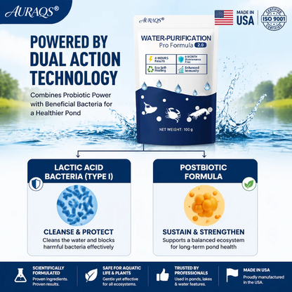 ✨ From Green to Clean Overnight! |⏱️ Clear in 24 Hours! | AURAQS® Water-Purification Pro Formula2.0