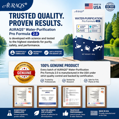 ✨ From Green to Clean Overnight! |⏱️ Clear in 24 Hours! | AURAQS® Water-Purification Pro Formula2.0