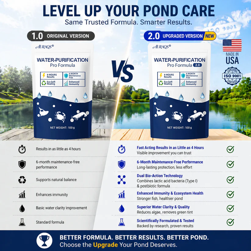 ✨ From Green to Clean Overnight! |⏱️ Clear in 24 Hours! | AURAQS® Water-Purification Pro Formula2.0