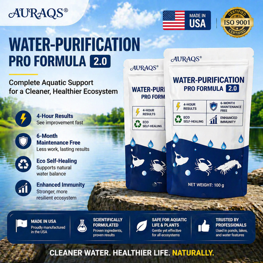 ✨ From Green to Clean Overnight! |⏱️ Clear in 24 Hours! | AURAQS® Water-Purification Pro Formula2.0