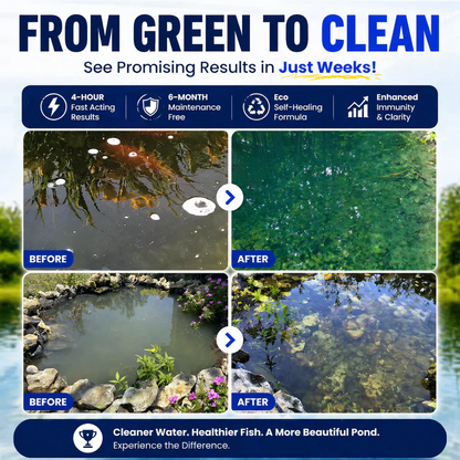 ✨ From Green to Clean Overnight! |⏱️ Clear in 24 Hours! | AURAQS® Water-Purification Pro Formula2.0