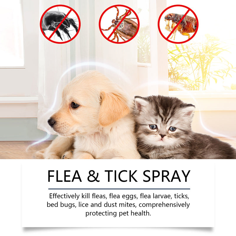 AURAQS™🍃Give your furry friends the protection they deserve, naturally! 🌟