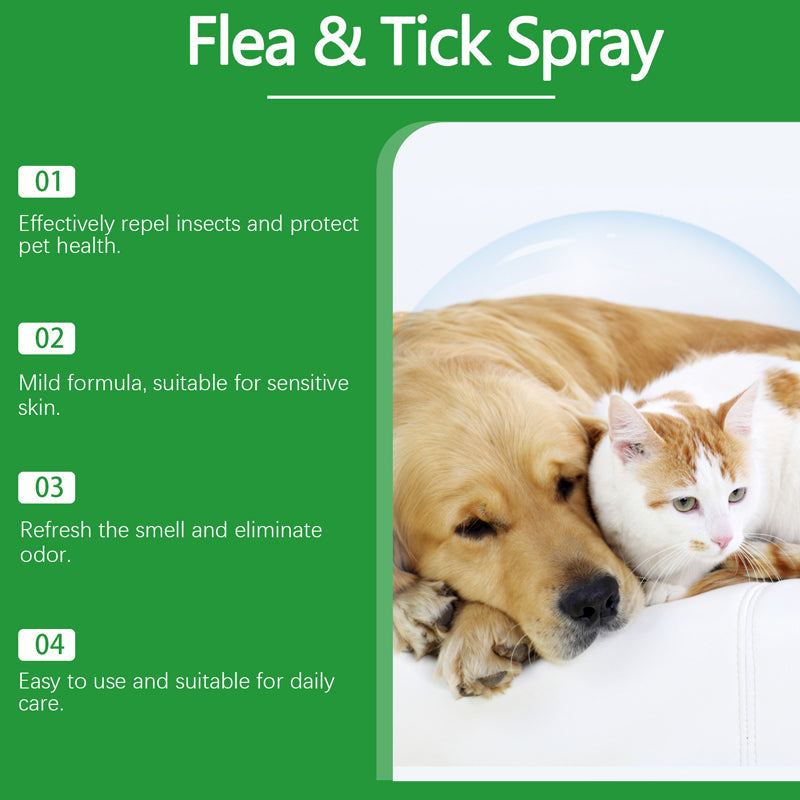 AURAQS™🍃Give your furry friends the protection they deserve, naturally! 🌟